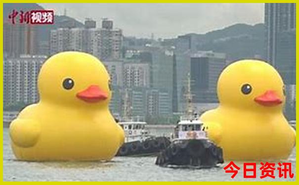 湖北小池有什么好玩的地方